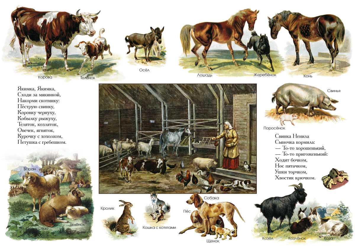 Книга Белый город Ладушки. Энциклопедия детского фольклора - фото 3