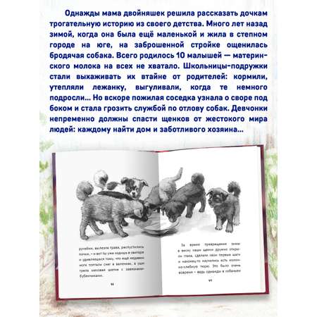 Книга Проф-Пресс детская проза 6+ Я тебя не брошу. Собаки нашего двора. К. Коскина. 112 стр