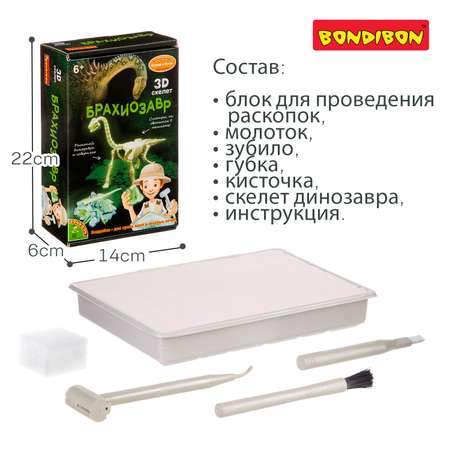 Набор для раскопок Bondibon Науки с Буки