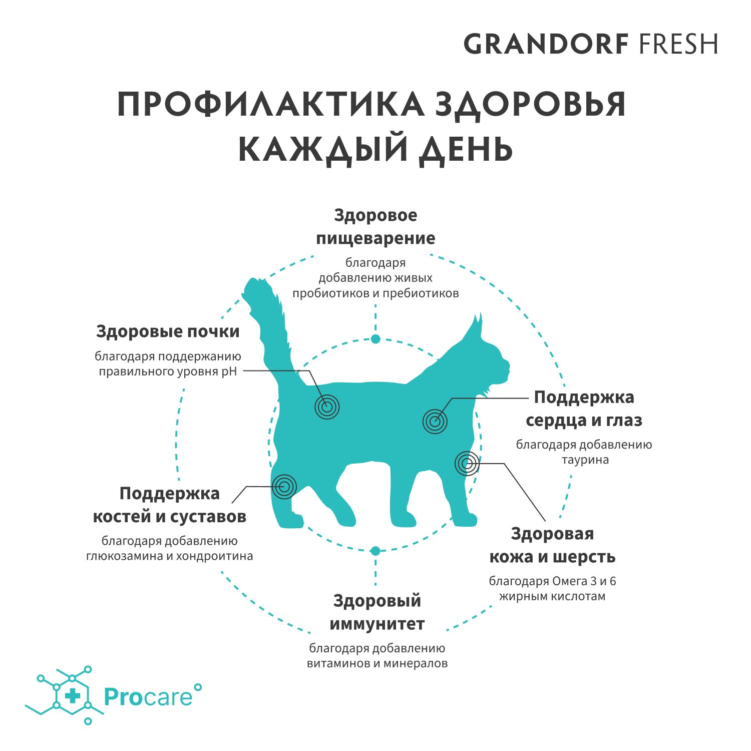 Корм для кошек GRANDORF FRESH Cat Large Lamb/Sweet Potato 2кг свежее мясо ягненка с бататом для круп кошек - фото 7