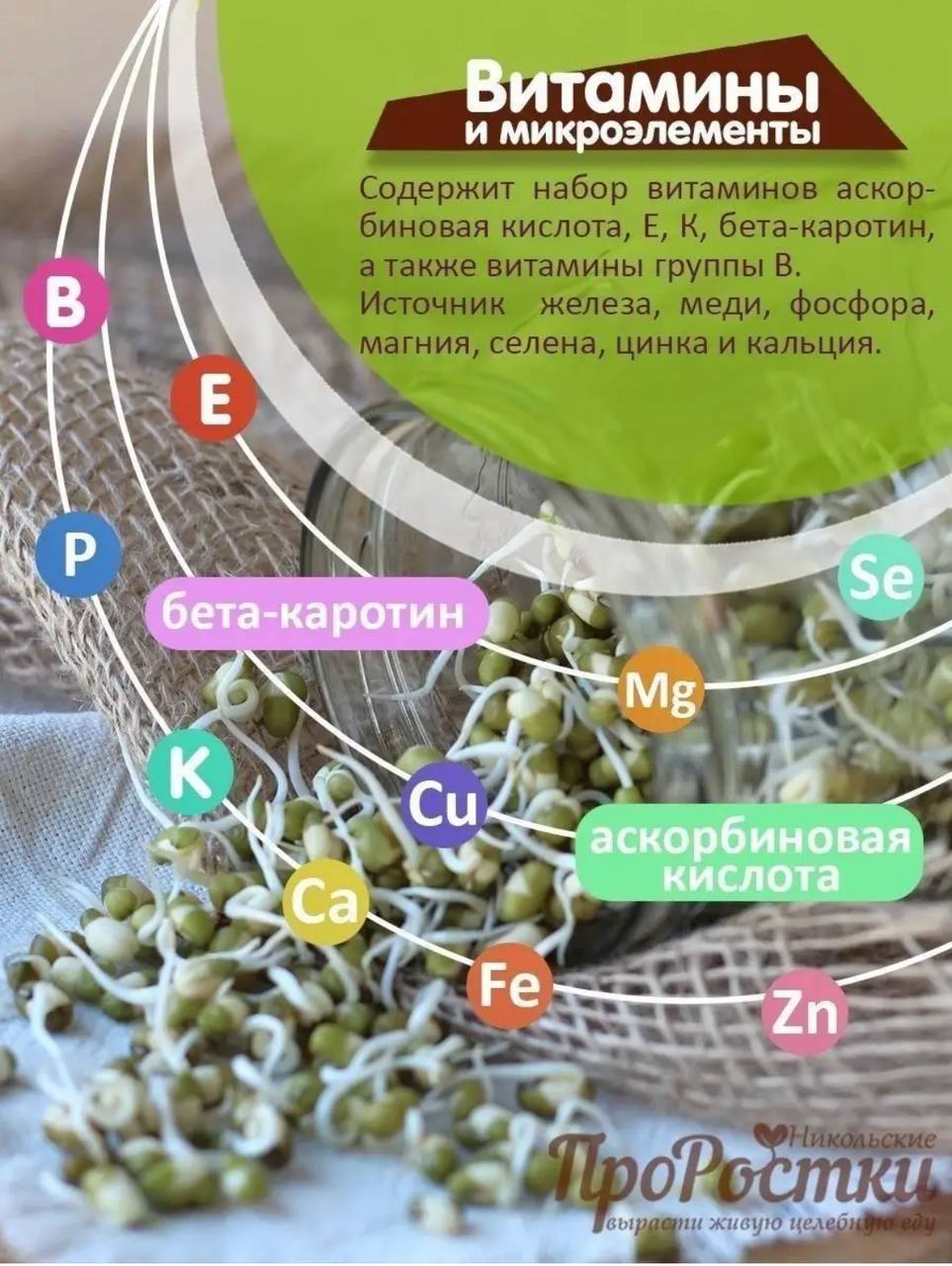 Семена для микрозелени Никольские ПроРостки бобы Мунг - фото 5