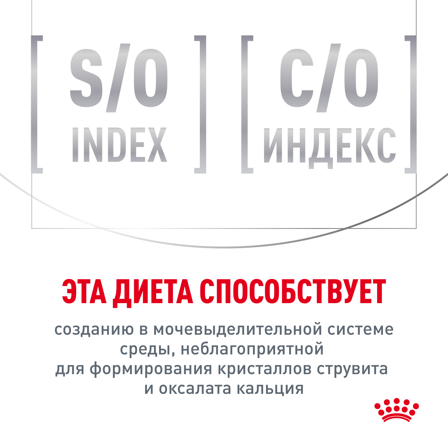 Корм для кошек ROYAL CANIN Gastrointestinal Hairball для профилактики образования волосяных комочков 350г - фото 8