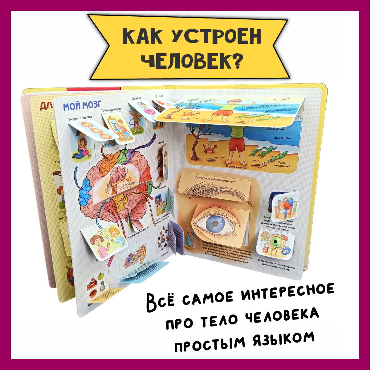 Детские книги с окошками БимБиМон тело человека и как я расту - фото 4
