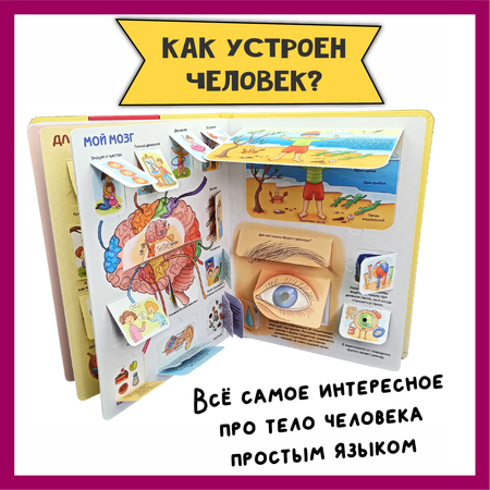 Детские книги с окошками БимБиМон тело человека и как я расту