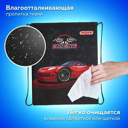 Сумка Пифагор
