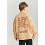 Толстовка artie