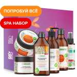 Набор средств Synergetic 6 шт.