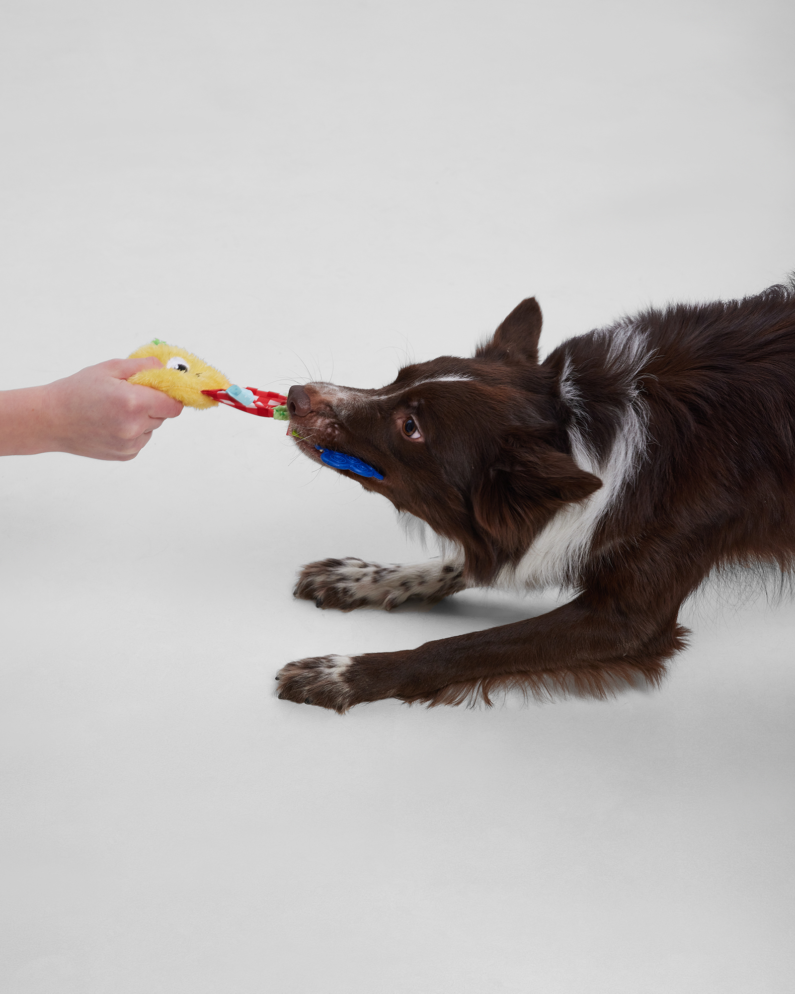 Игрушка для щенков Barbaks Гусеница Глафира 23*1.5см пищит шуршит с элементами из TRP для жевания - фото 6