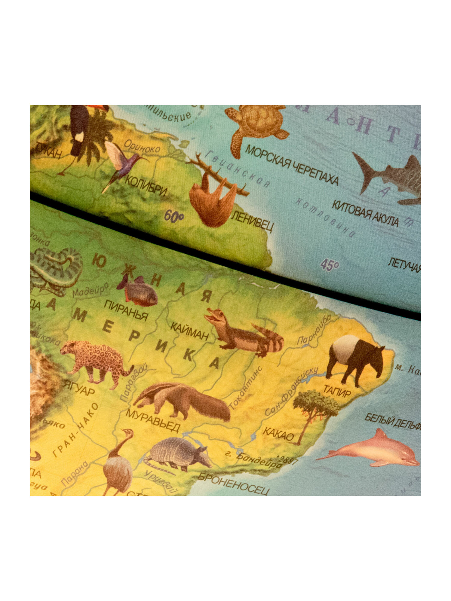 Глобус Globen интерактивный зоогеографический с подсветкой и VR очками диаметр 25 см - фото 22