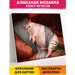 Алмазная мозаика Art on Canvas Грустный котик в ассортименте