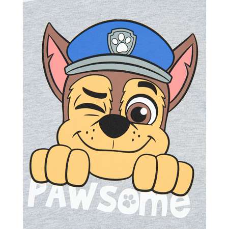 Худи Paw Patrol