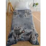 Плед PAVLine Аэро Софт Котик 150 x 200 см