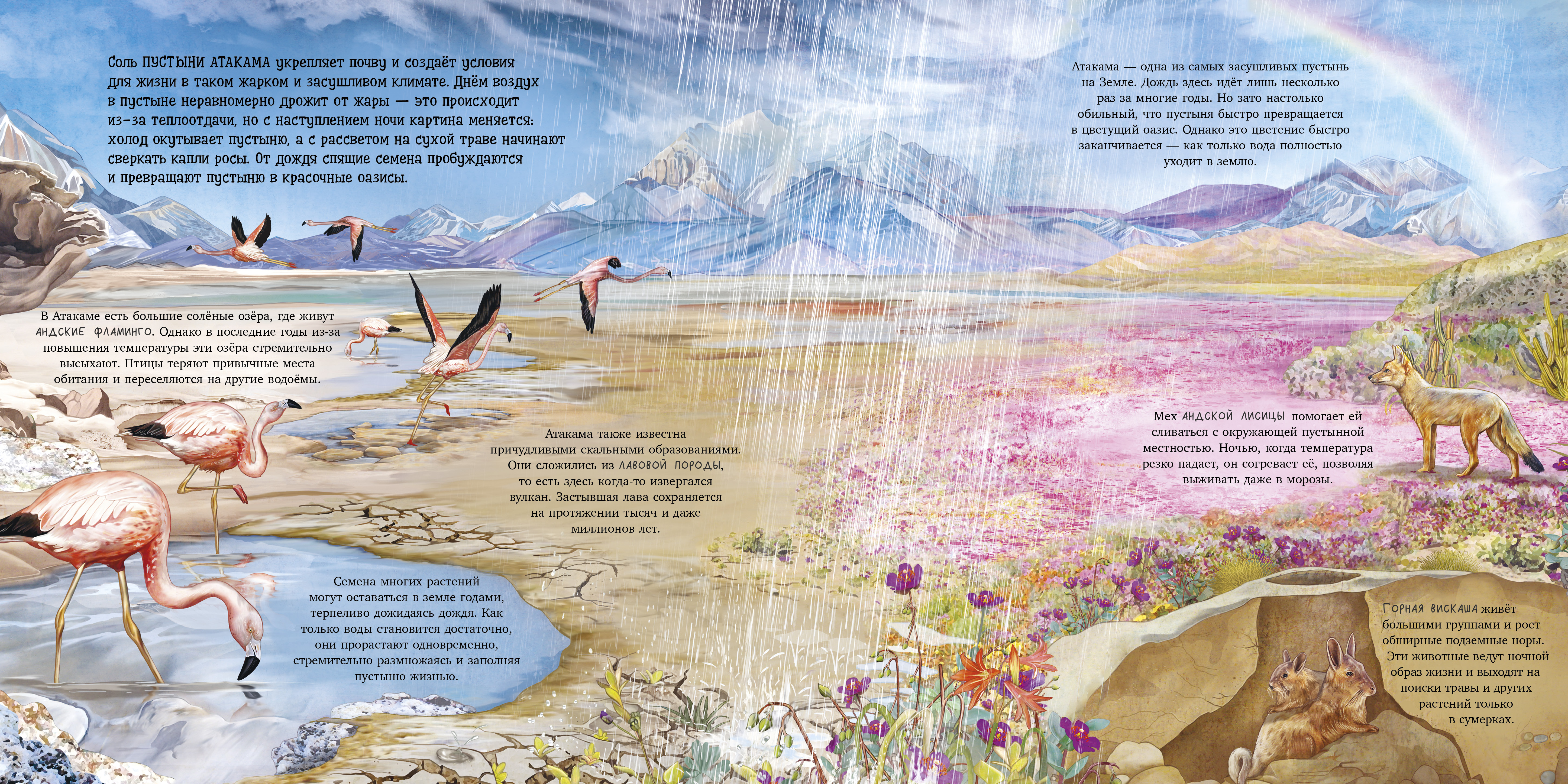 Книга Clever Удивительные животные - фото 5