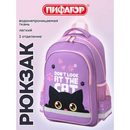 Рюкзак Пифагор наблюдательный кот