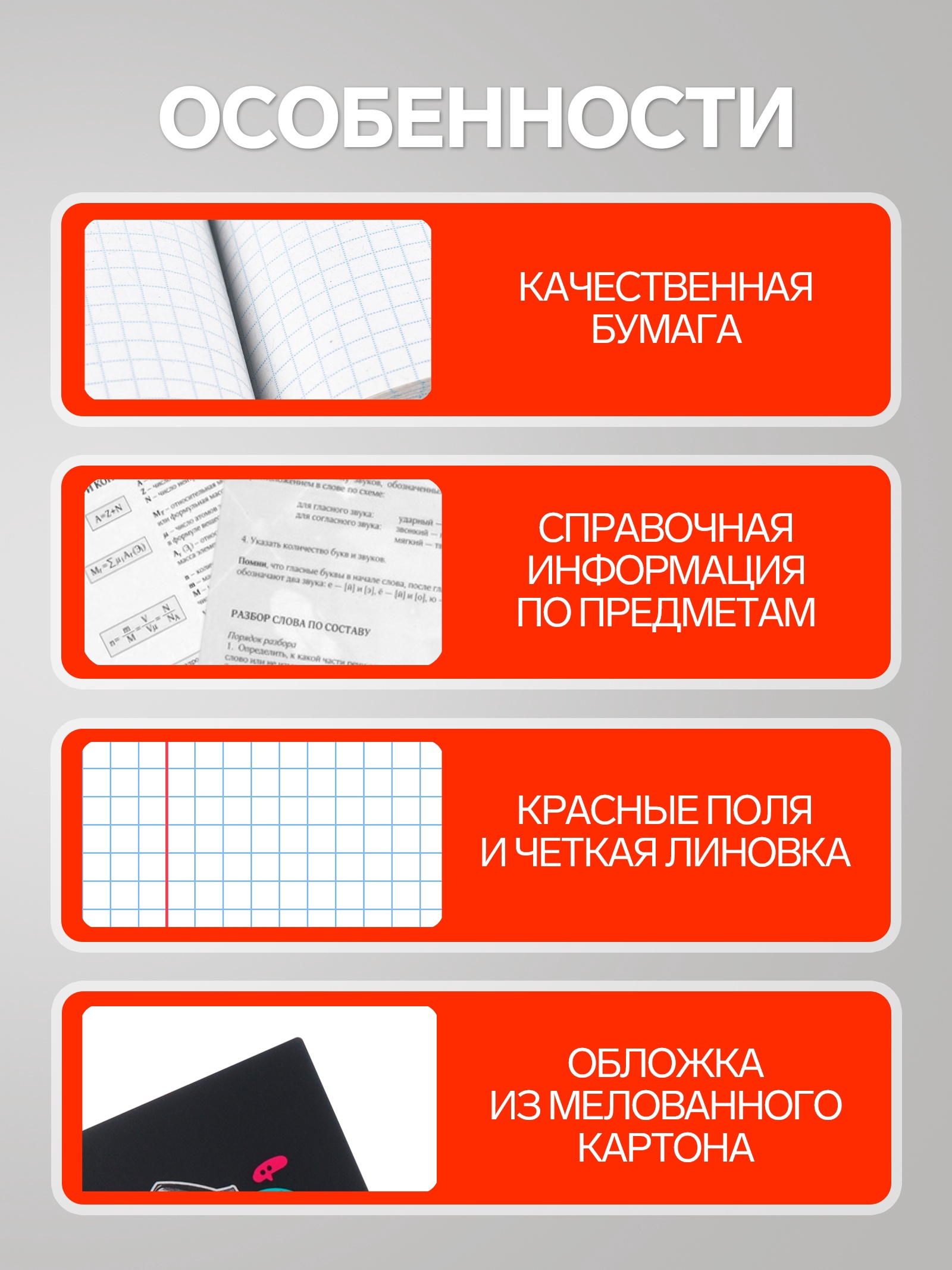 Тетрадь Calligrata клетка - фото 2