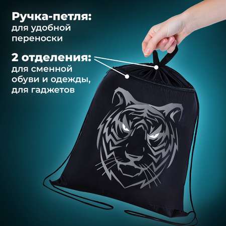 Мешок для обуви Brauberg