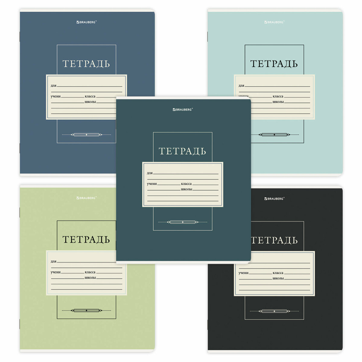 Общая тетрадь Brauberg клетка 12 лист. 10 шт. - фото 2