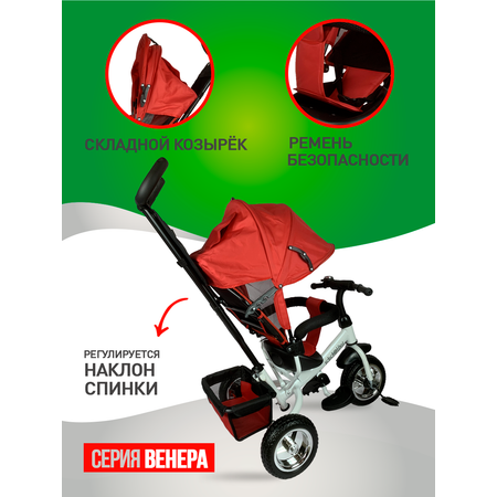 Трехколесный велосипед Velobibi 10 дюймов