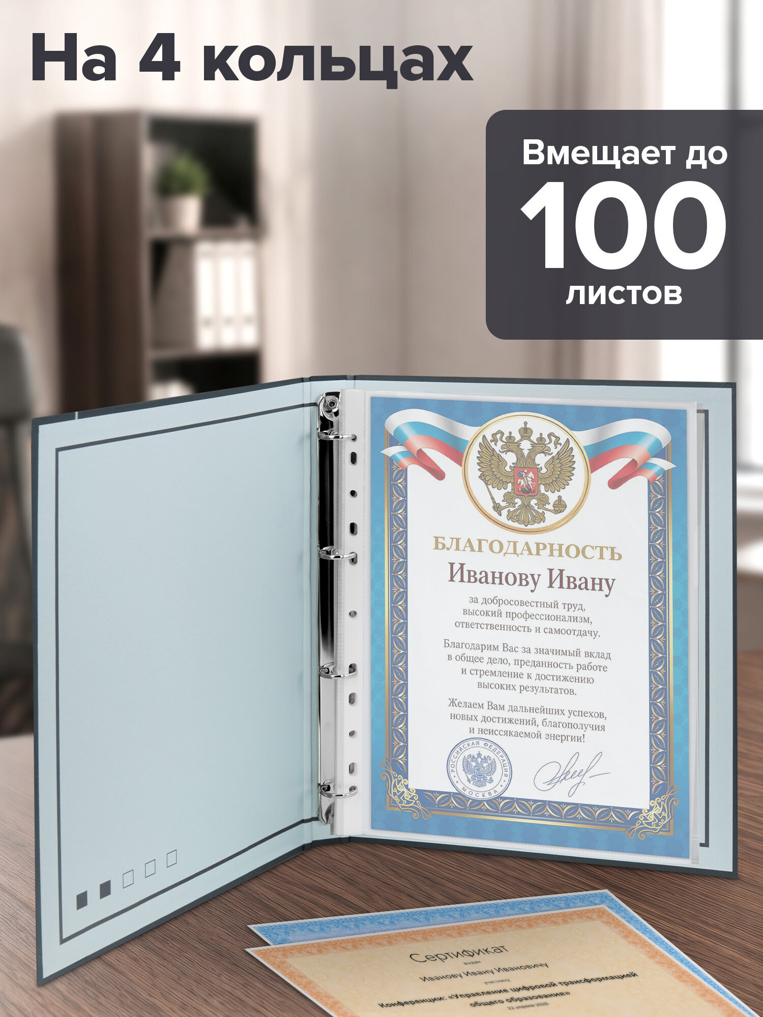 Портфолио школьника Brauberg папка А4 на кольцах 20 файлов для девочки и мальчика - фото 2