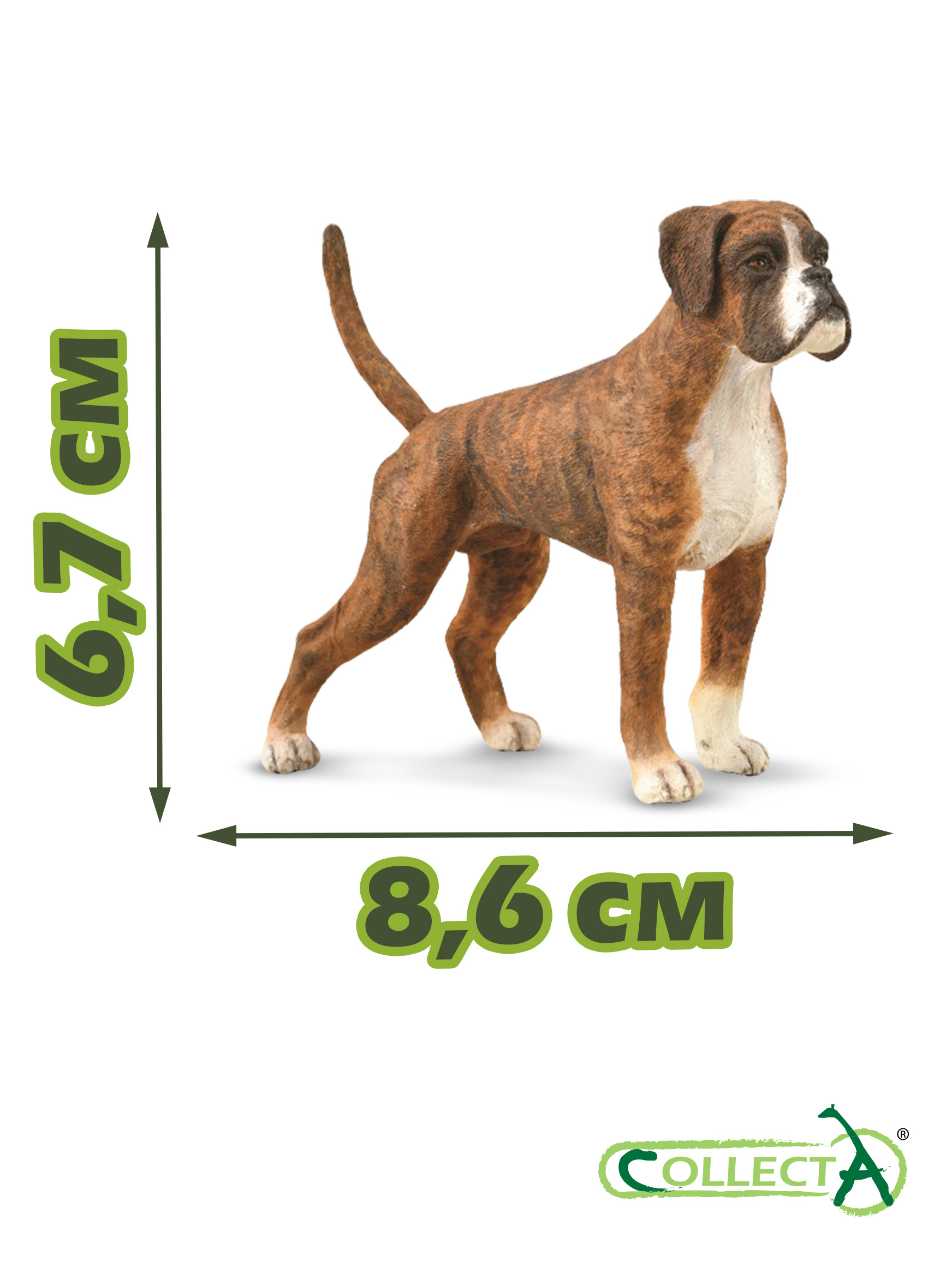 Фигурка Collecta Собака Боксер - фото 2