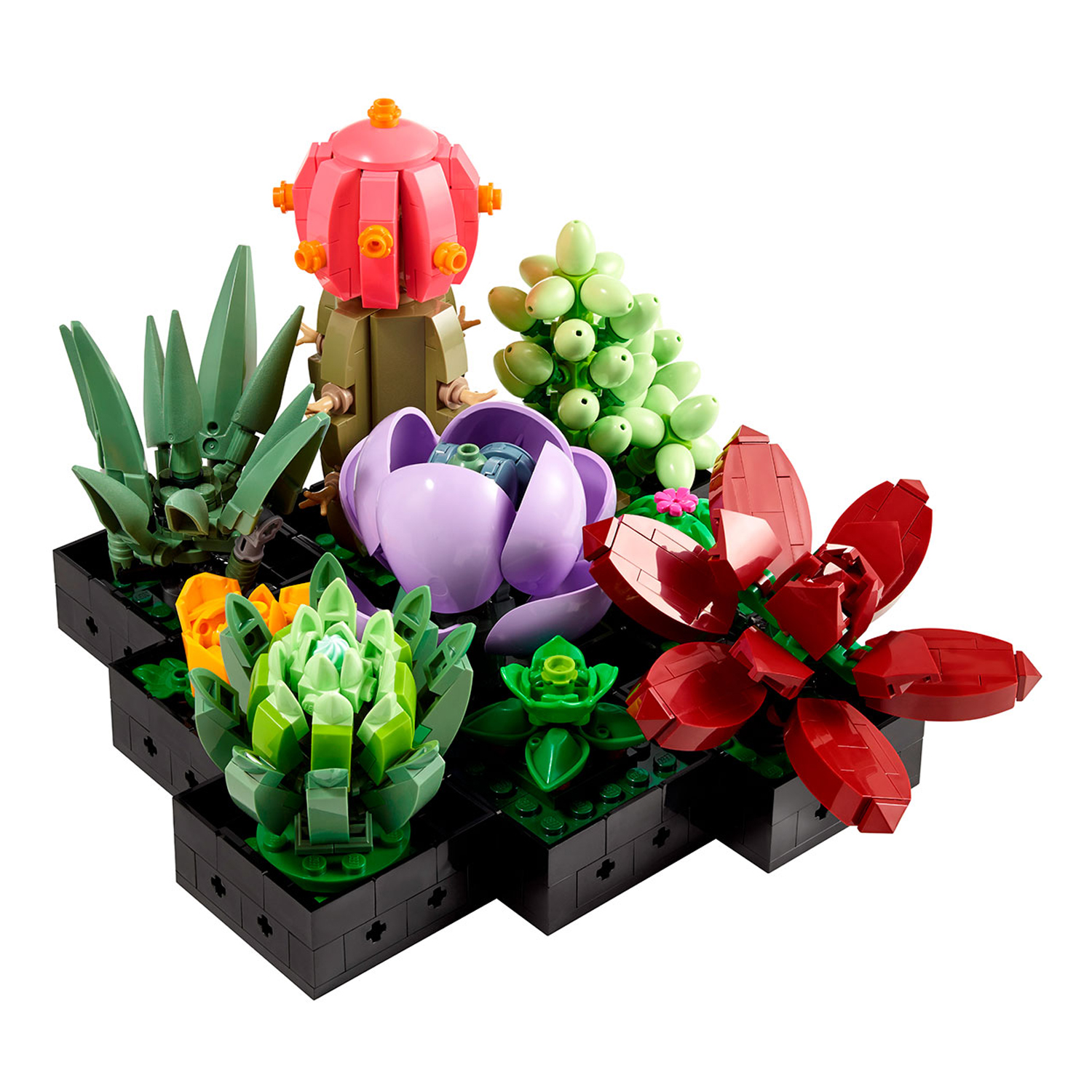 Конструктор LEGO Botanicals Кактусы 771 дет. - фото 4