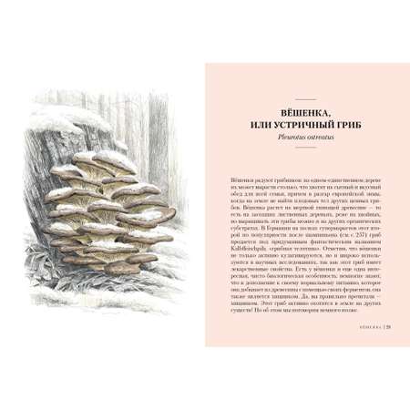 Книга КОЛИБРИ Грибы: Обитатели скрытого мира Хофрихтер Р. Серия: Культ природы