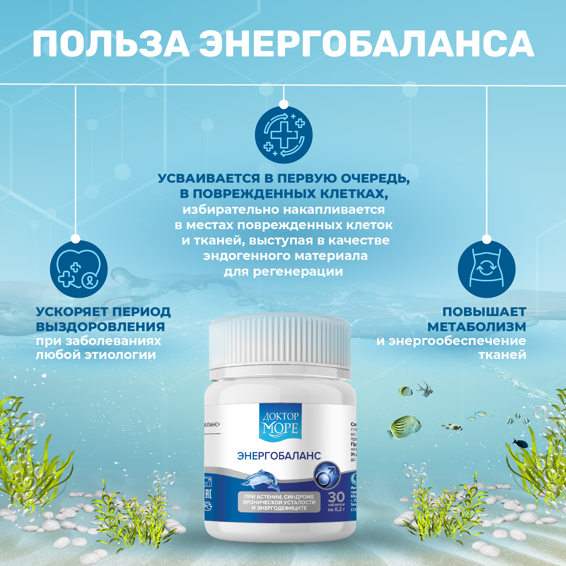 Энергобаланс Доктор Море концентрация и энергия 30 капсул - фото 2