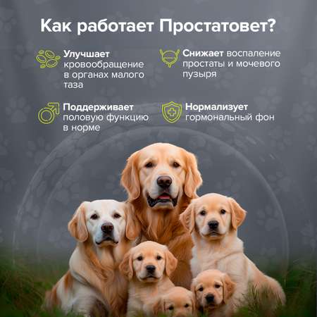 Кормовая добавка Pets health Простатовет для кобелей