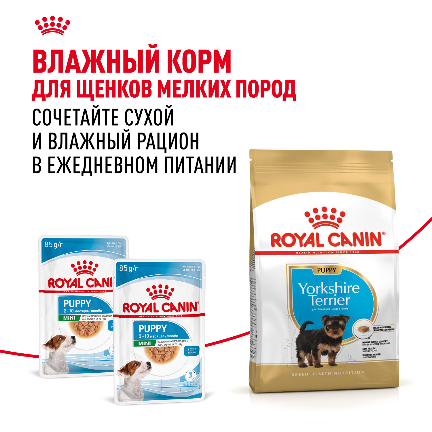Корм для щенков ROYAL CANIN Yorkshire Terrier Puppy 500г - фото 8