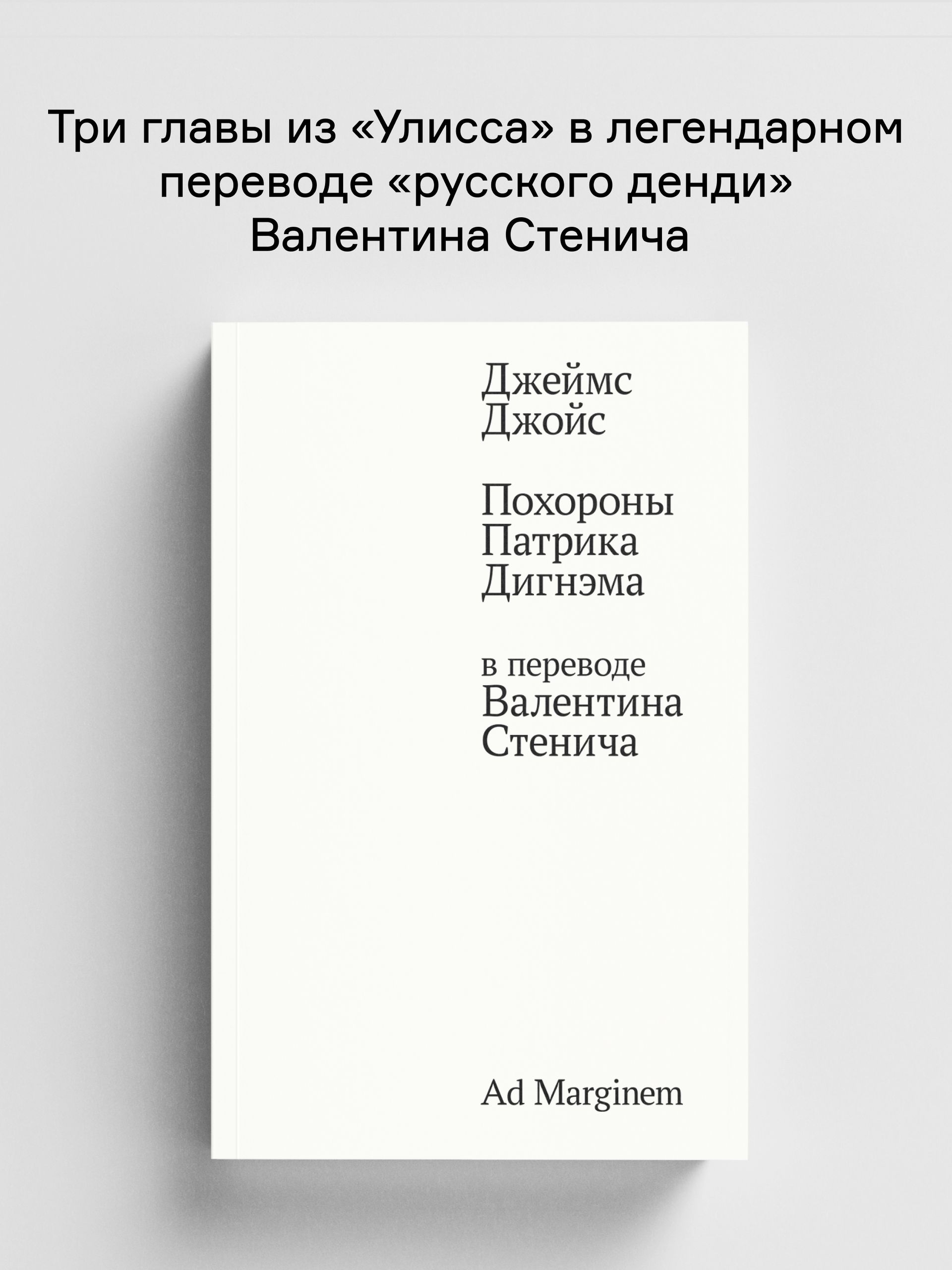 Книга Ad Marginem Похороны Патрика Дигнэма - фото 1