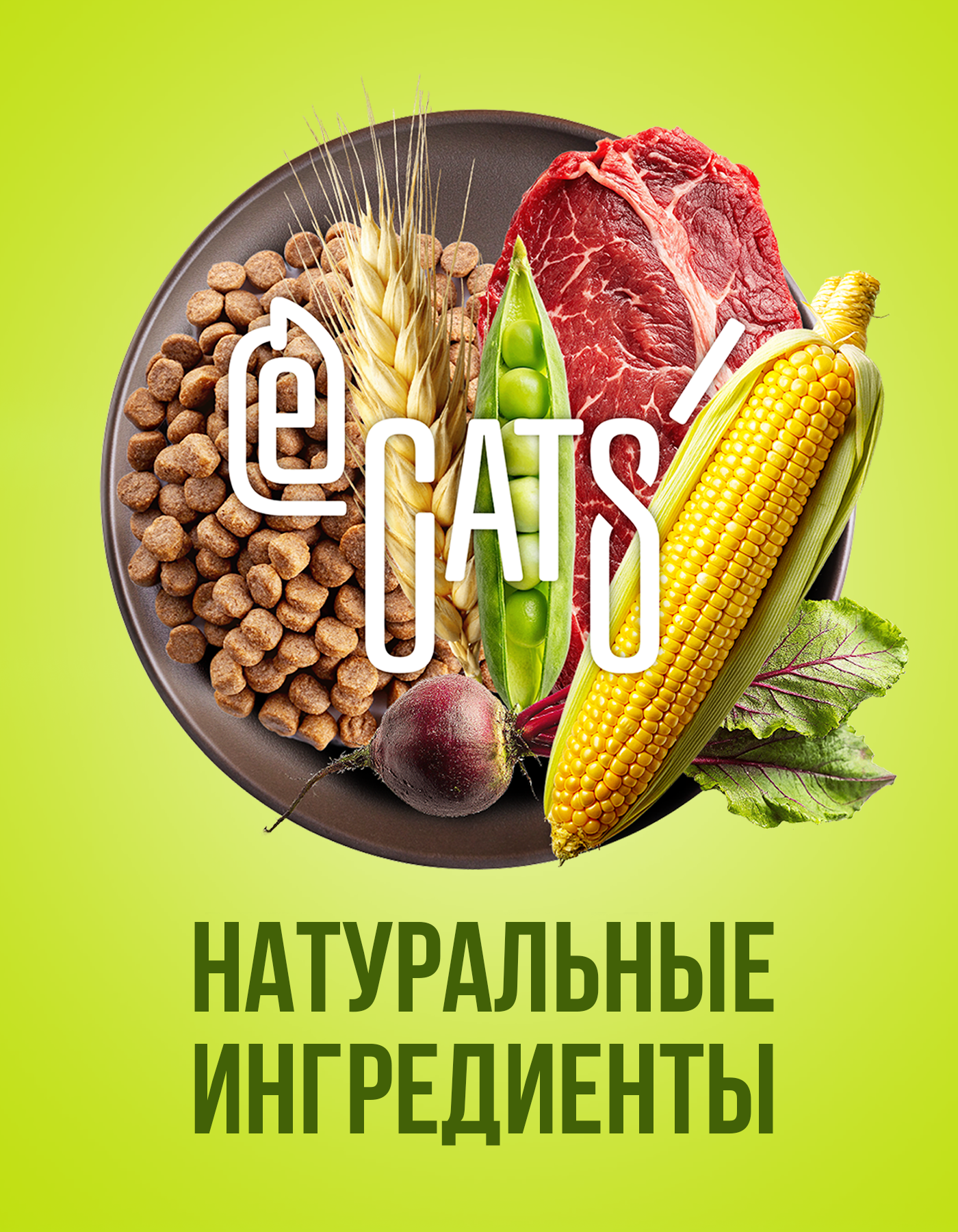 Корм сухой полнорационный ECATS для кошек с говядиной 10кг - фото 6