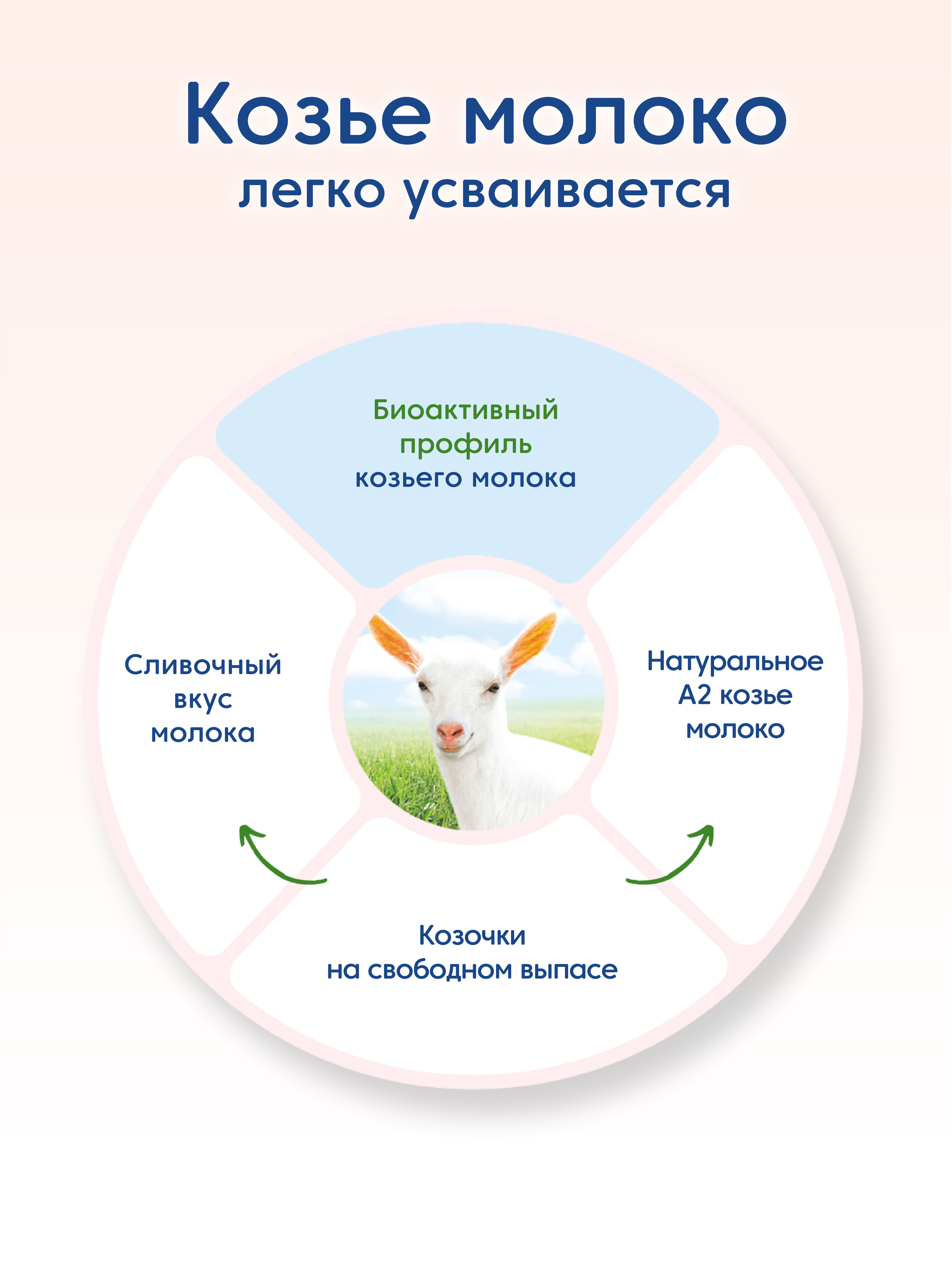 Смесь Мамако 3 Premium на козьем молоке 400г с 12месяцев - фото 4