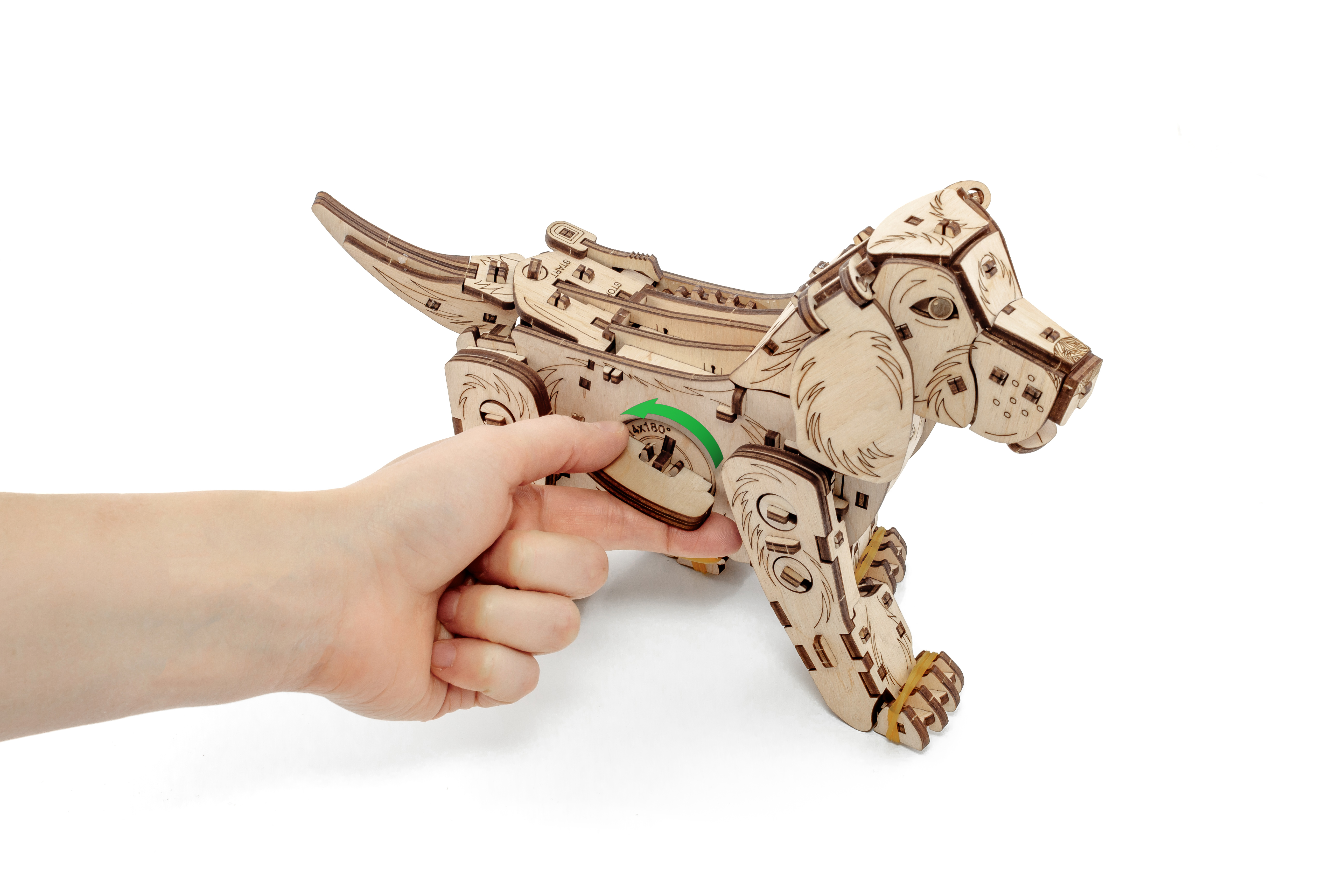 Конструктор Eco Wood Art Механический щенок Puppy деревянный - фото 14