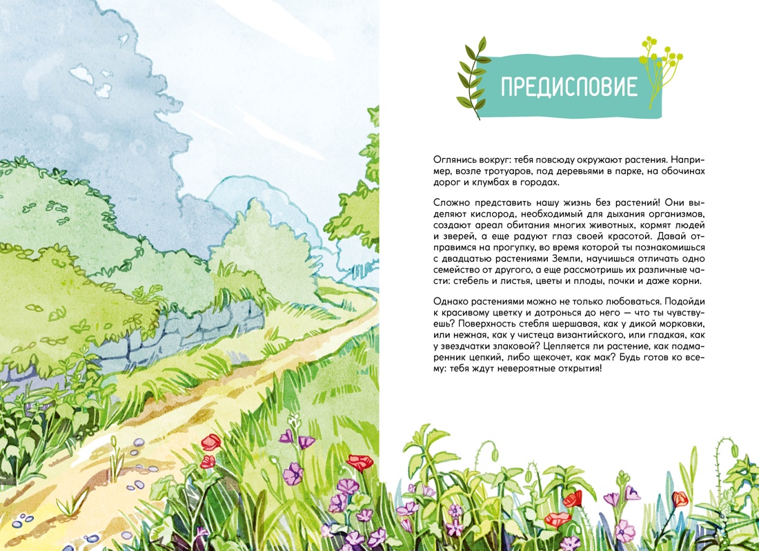 Книга Махаон Франсуа Куплан , Роберт Каплан. Растения вокруг нас - фото 3