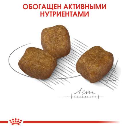 Корм для собак ROYAL CANIN Mini Dental мелких пород предрасположенных к образованию зубного камня 1кг