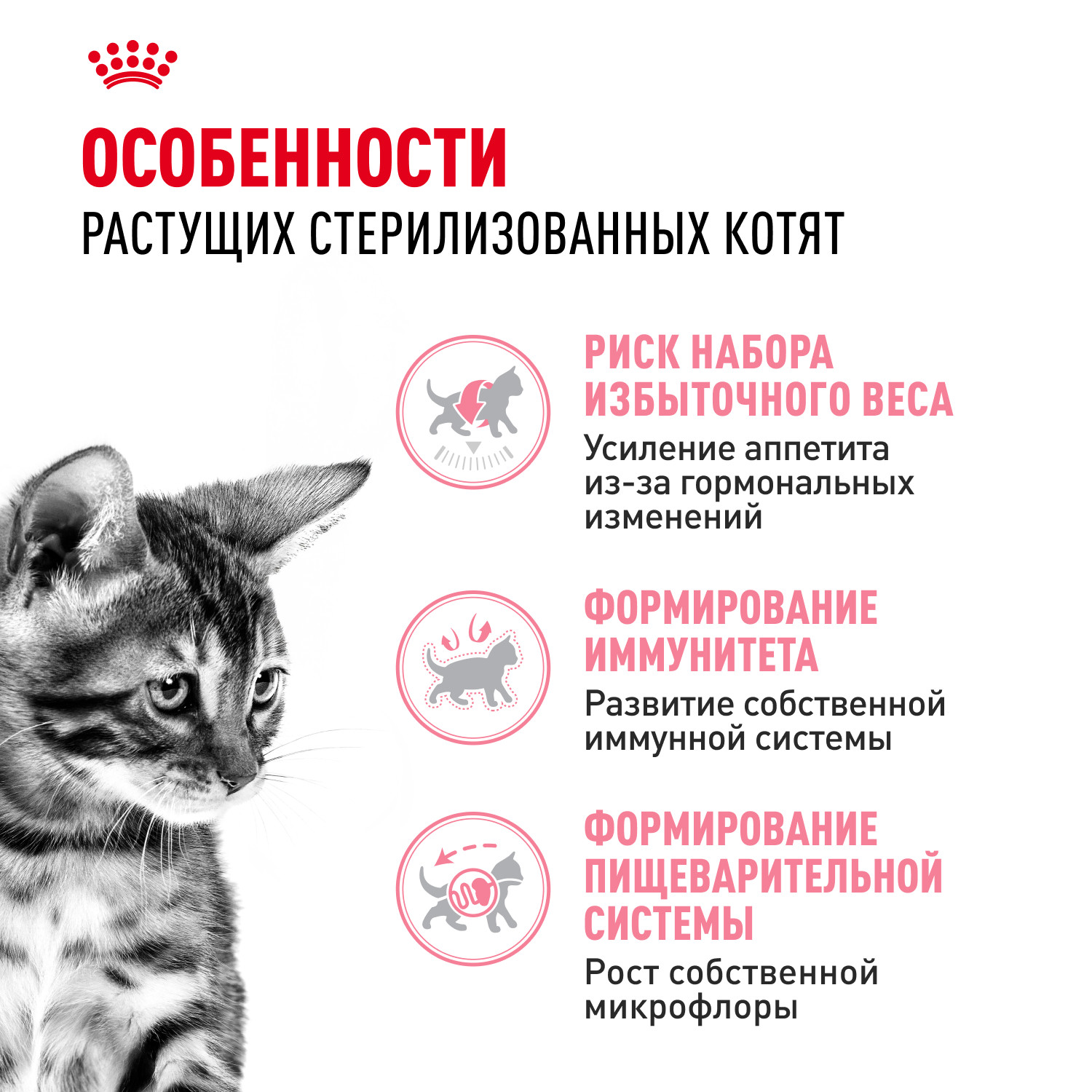 Корм сухой для котят ROYAL CANIN Sterilised 400г стерилизованных - фото 2