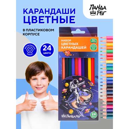 Карандаши цветные ПАНДАРОГ 24 шт.