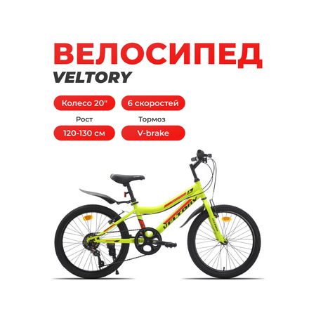 Двухколесный велосипед Veltory 20 дюймов