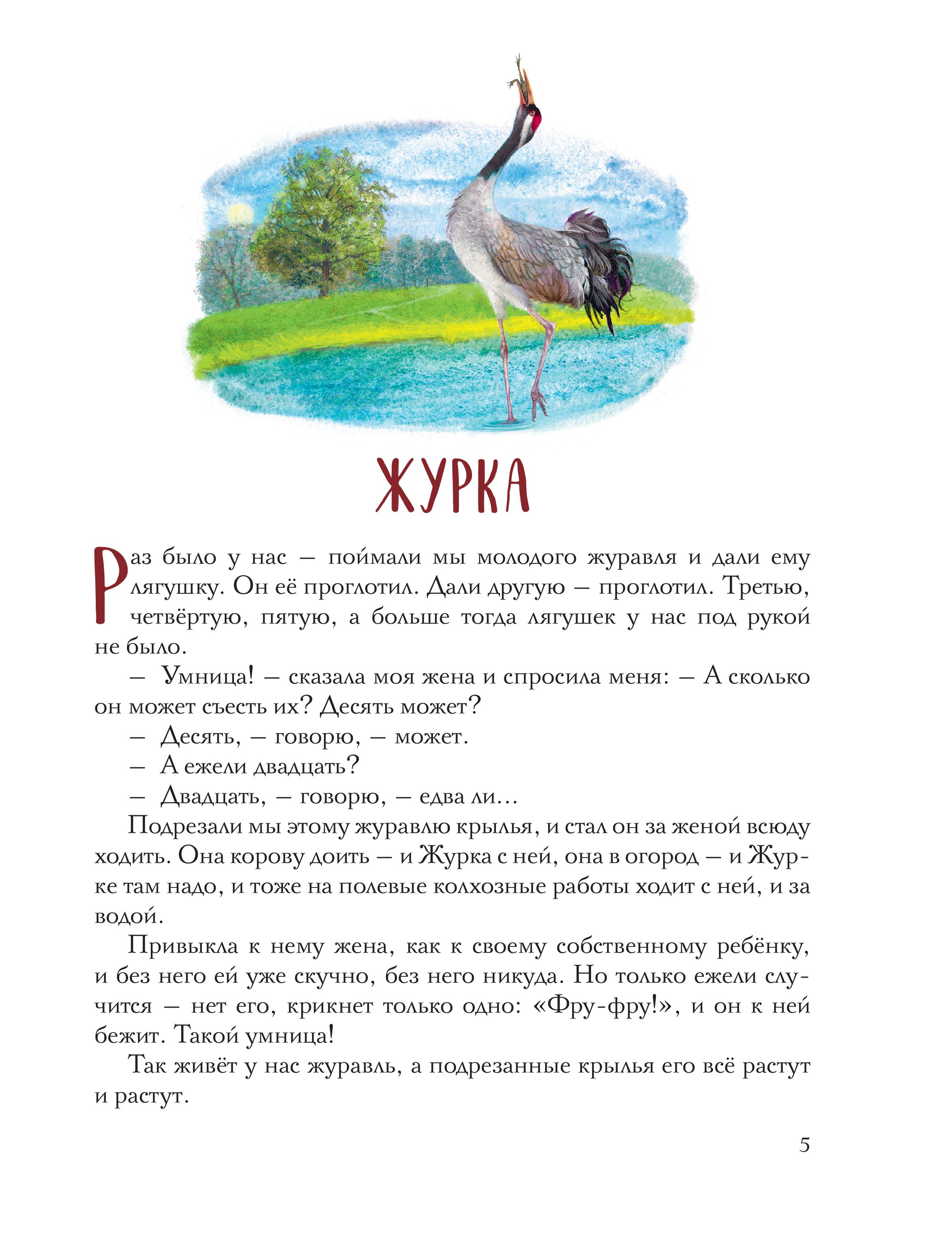 Книга Эксмо Золотой луг. Рассказы о животных (ил. Дударенко) - фото 4
