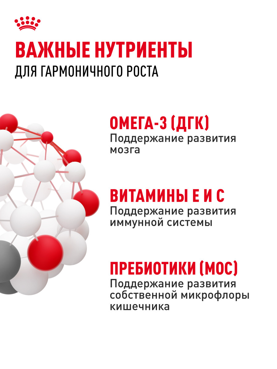Корм для щенков влажный ROYAL CANIN Medium Puppy средних пород в возрасте до 12 месяцев соус 100 г - фото 5