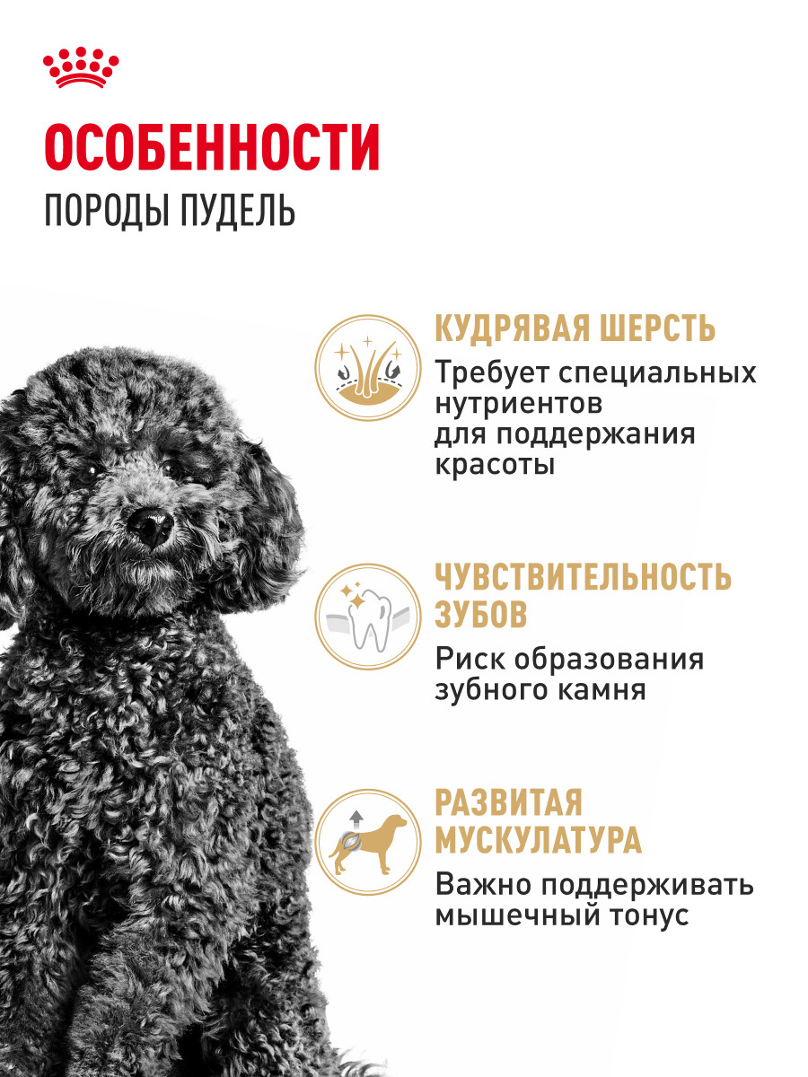 Корм для собак ROYAL CANIN Poodle Adult Пудель Эдалт сухой для взрослых собак породы пудель 1.5кг - фото 2