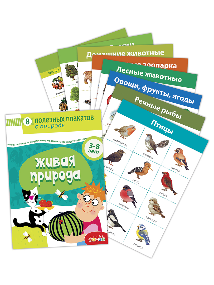 Настольная игра Дрофа-Медиа - фото 2