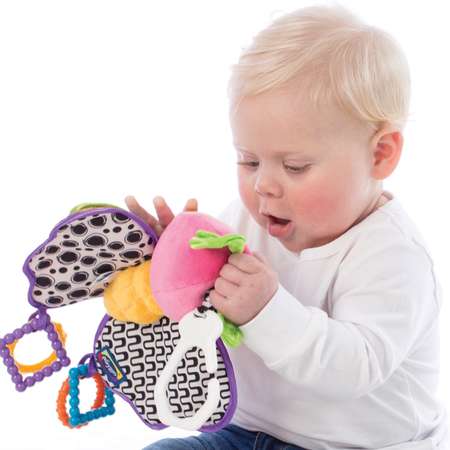 Игрушка-подвеска Playgro Бабочка 0181201