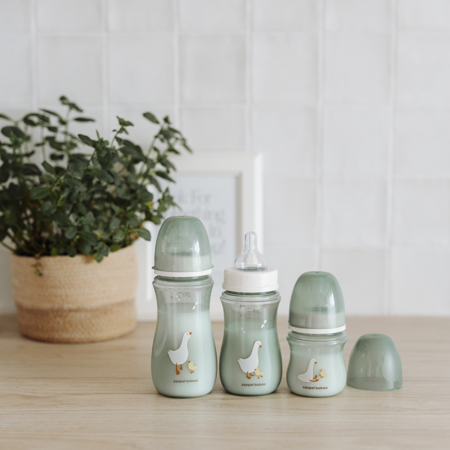 Бутылочка Canpol Babies 300 мл 1 шт. - фото 4