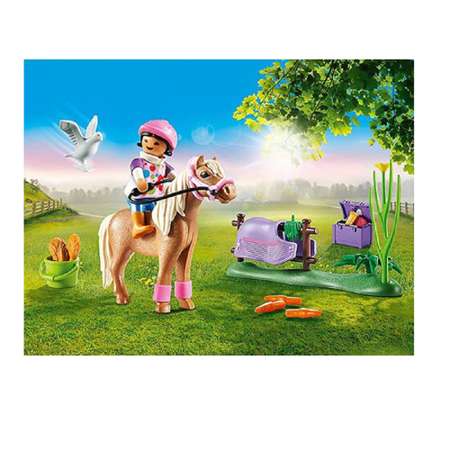 Конструктор Playmobil сборная игровая модель