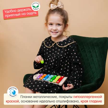 Игрушка музыкальная Alatoys ксилофон, мелодика