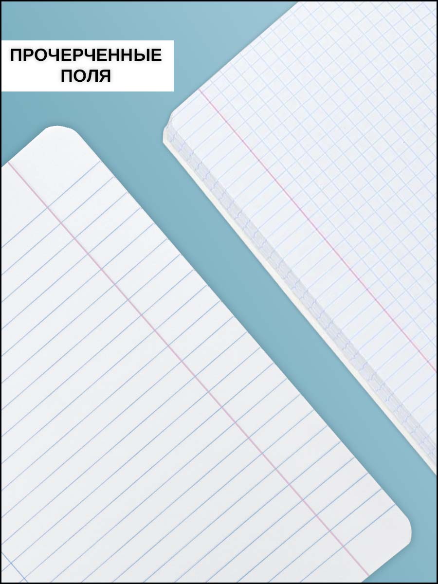 Тетрадь AXLER 48 лист. 12 шт. - фото 5