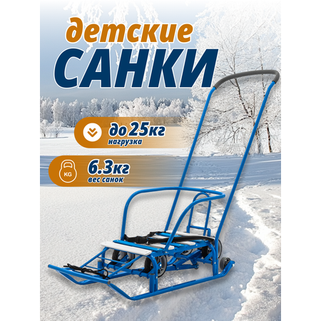 Санки-коляска NiKA kids Т5У+/Г с перекидной ручкой, с колесами, со спинкой