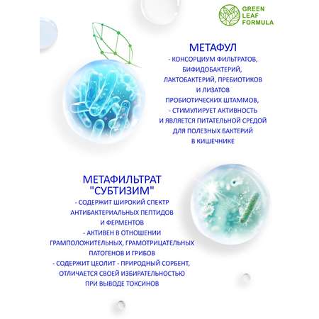 Детокс метабиотик Green Leaf Formula пробиотики при отравлении при интоксикации для жкт