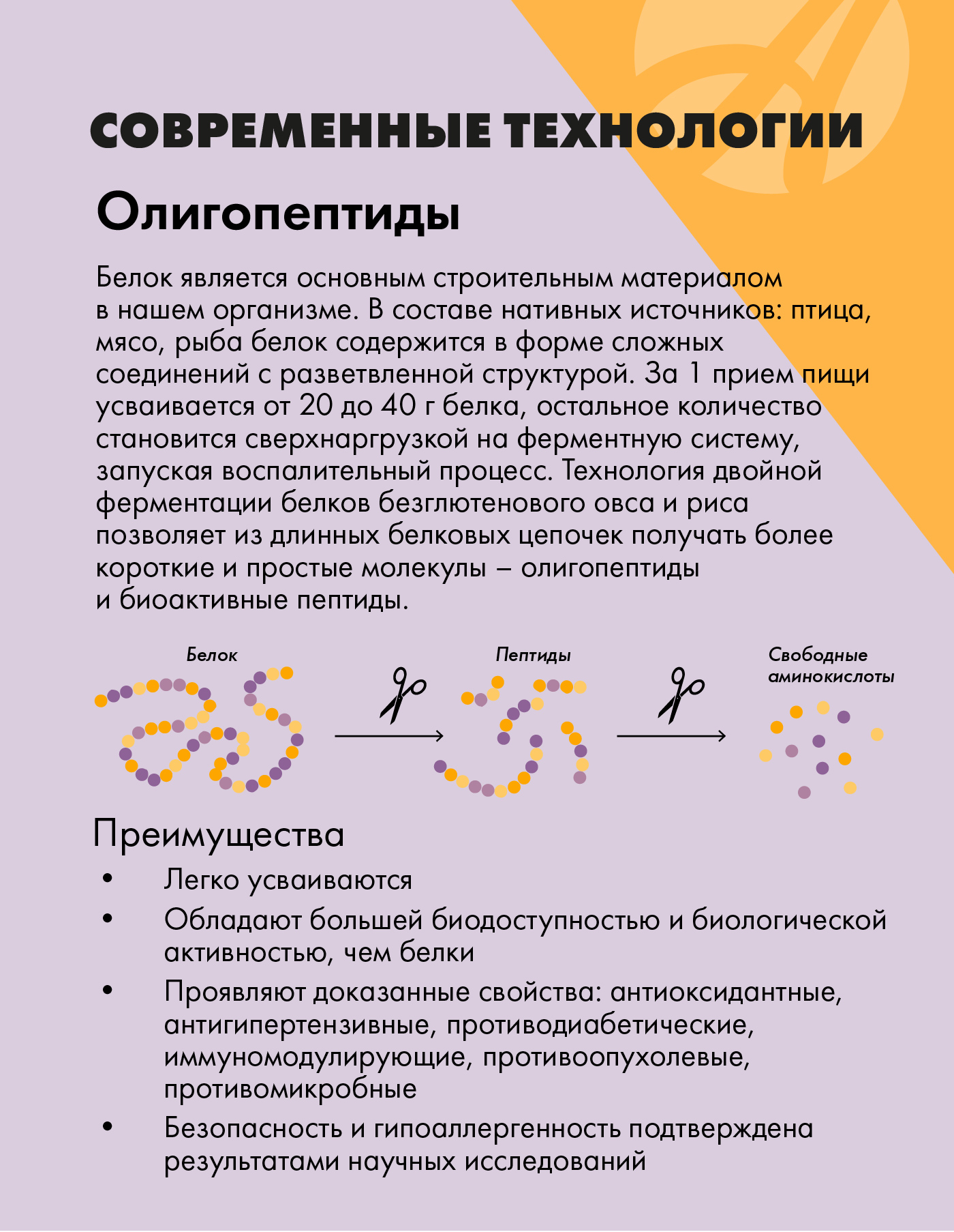 БАД Арт Лайф Виталити Фуд эссеншл Питание для похудения - фото 8